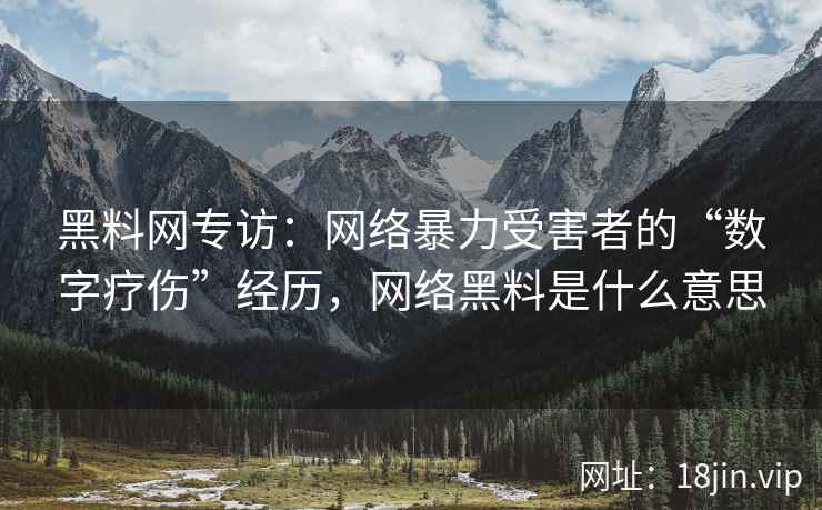 黑料网专访：网络暴力受害者的“数字疗伤”经历，网络黑料是什么意思