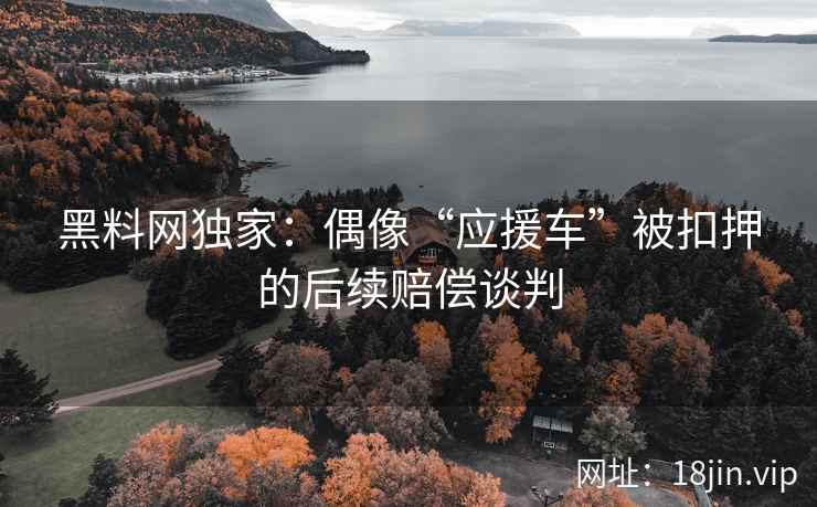 黑料网独家：偶像“应援车”被扣押的后续赔偿谈判  第2张