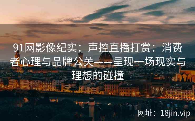 91网影像纪实：声控直播打赏：消费者心理与品牌公关——呈现一场现实与理想的碰撞