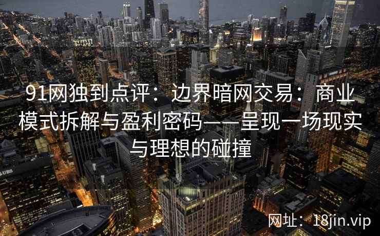 91网独到点评：边界暗网交易：商业模式拆解与盈利密码——呈现一场现实与理想的碰撞
