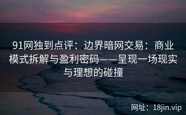 91网独到点评：边界暗网交易：商业模式拆解与盈利密码——呈现一场现实与理想的碰撞