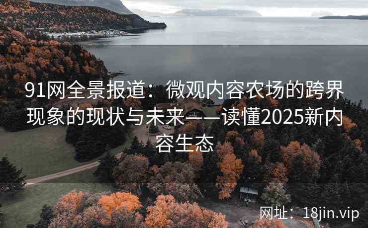 91网全景报道：微观内容农场的跨界现象的现状与未来——读懂2025新内容生态