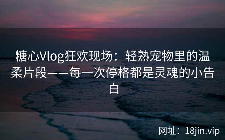 糖心Vlog狂欢现场：轻熟宠物里的温柔片段——每一次停格都是灵魂的小告白