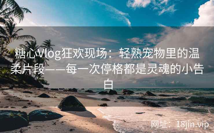 糖心Vlog狂欢现场：轻熟宠物里的温柔片段——每一次停格都是灵魂的小告白