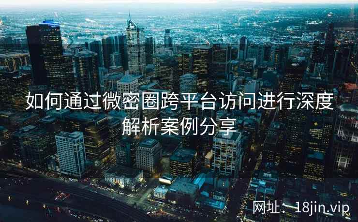 如何通过微密圈跨平台访问进行深度解析案例分享